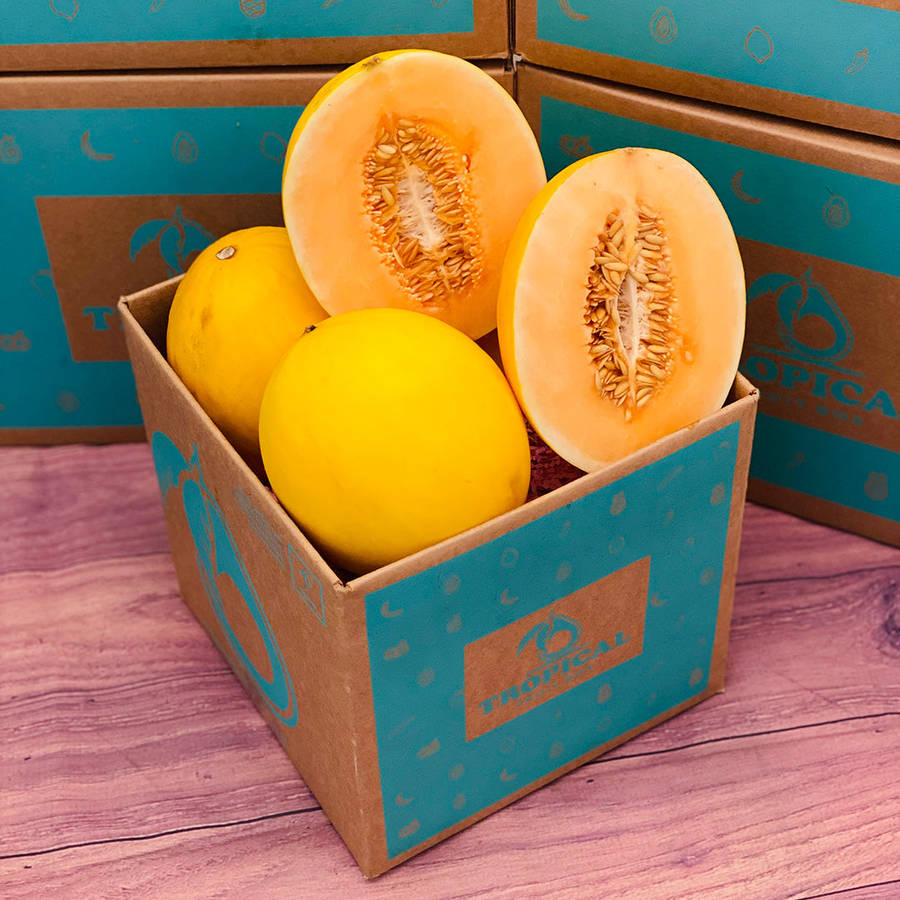 Canary Melon 桌布