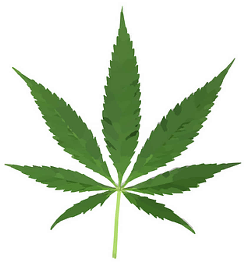 Cannabis 桌布