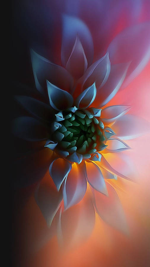 736x1309 best Android wallpaper image