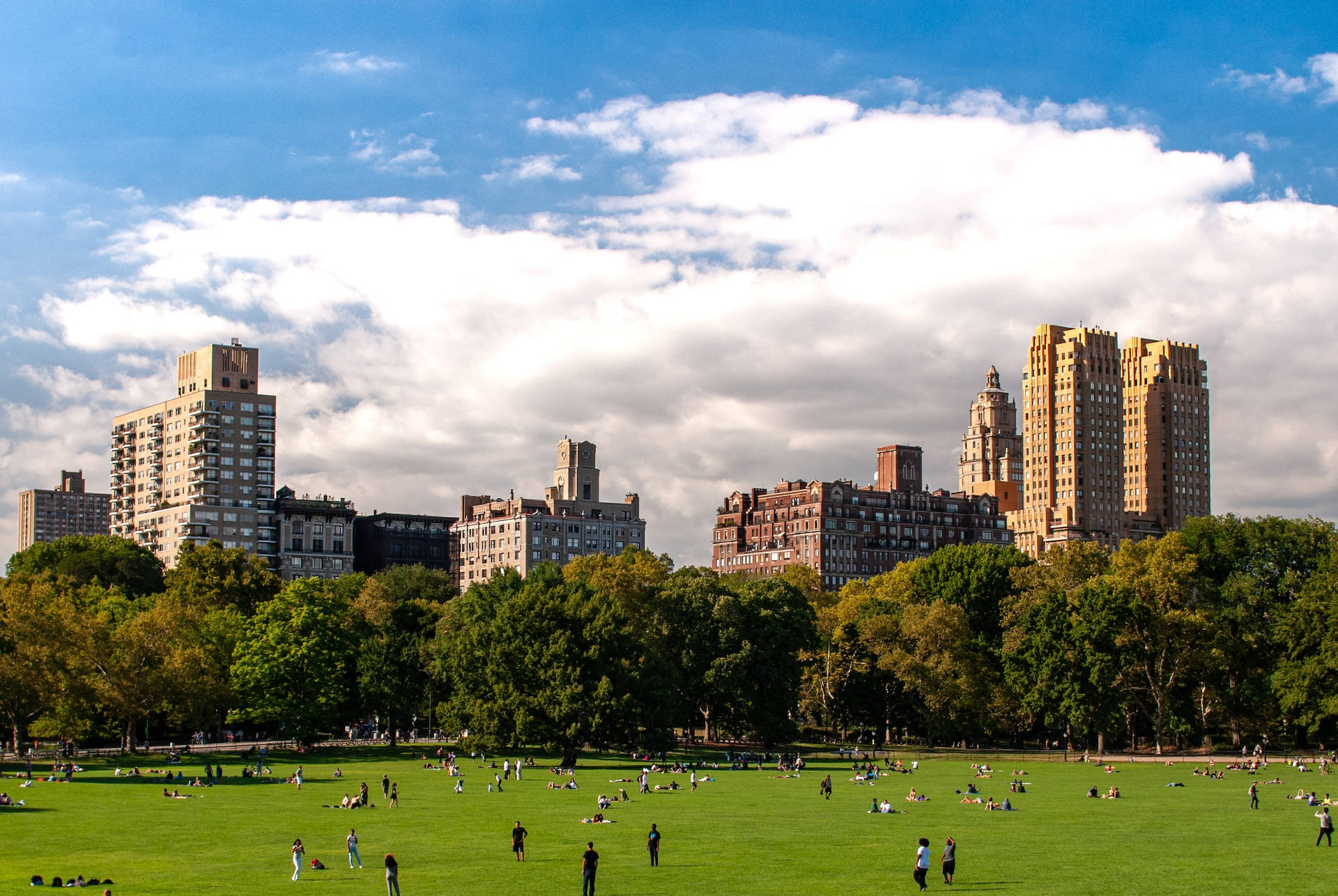 Central Park 桌布