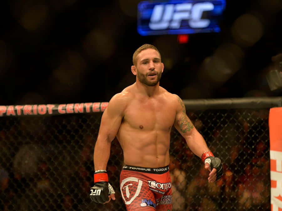 Chad Mendes 桌布