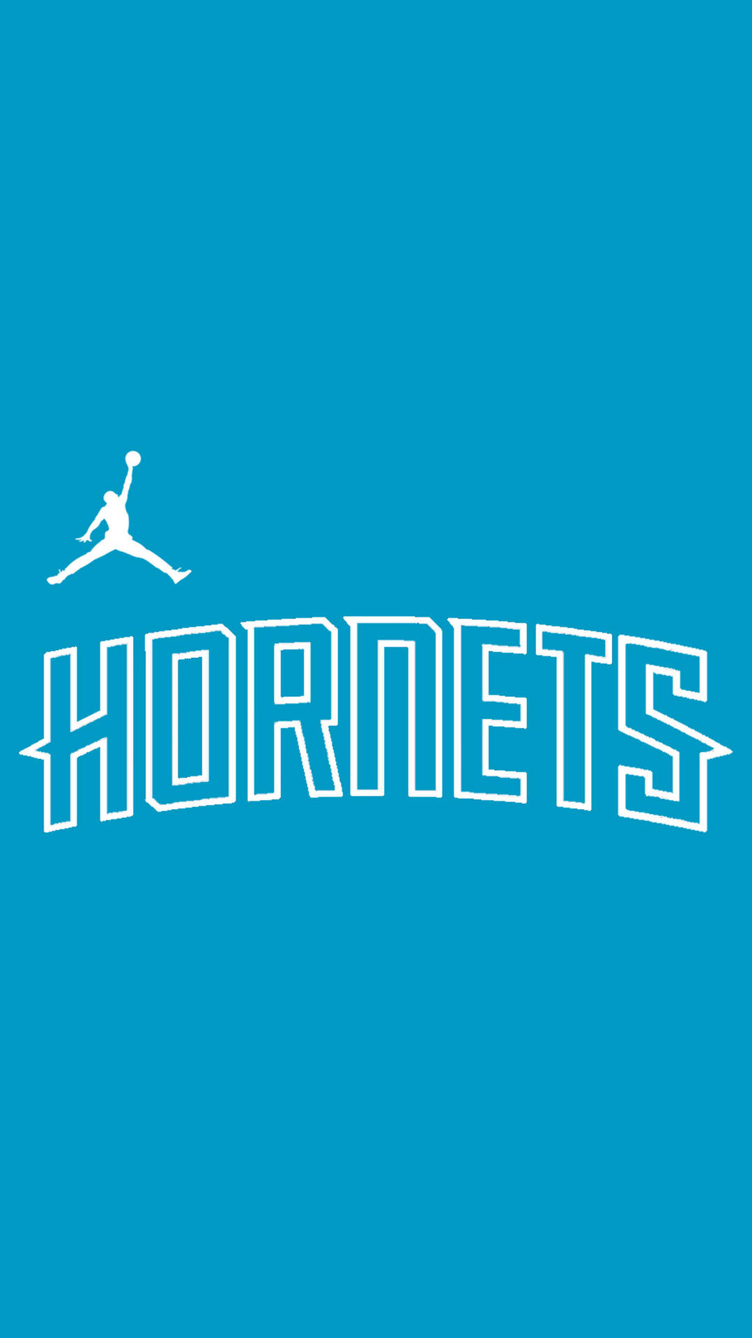 Charlotte hornets 桌布