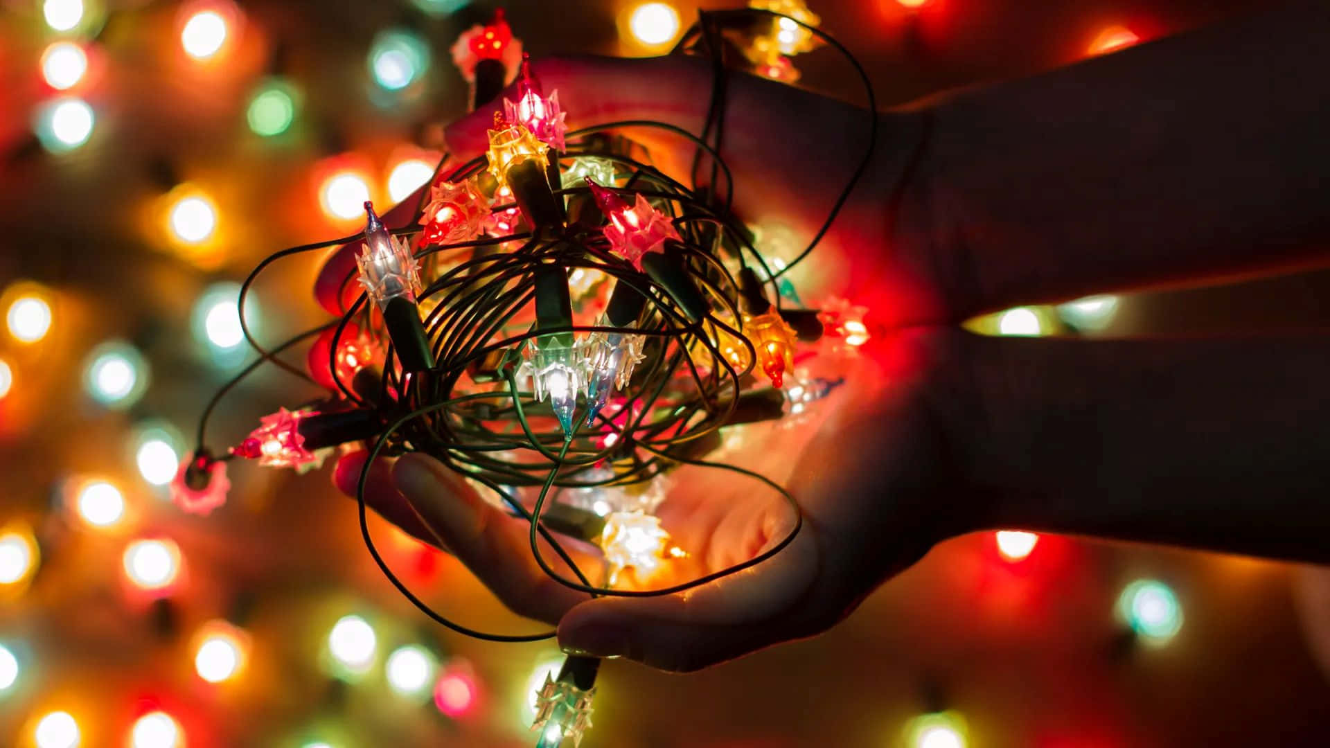 Christmas Lights 桌布