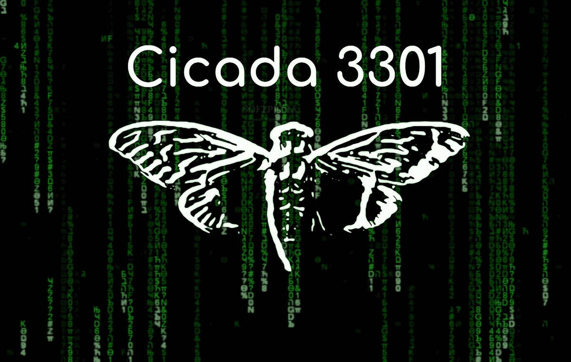 Cicada 桌布