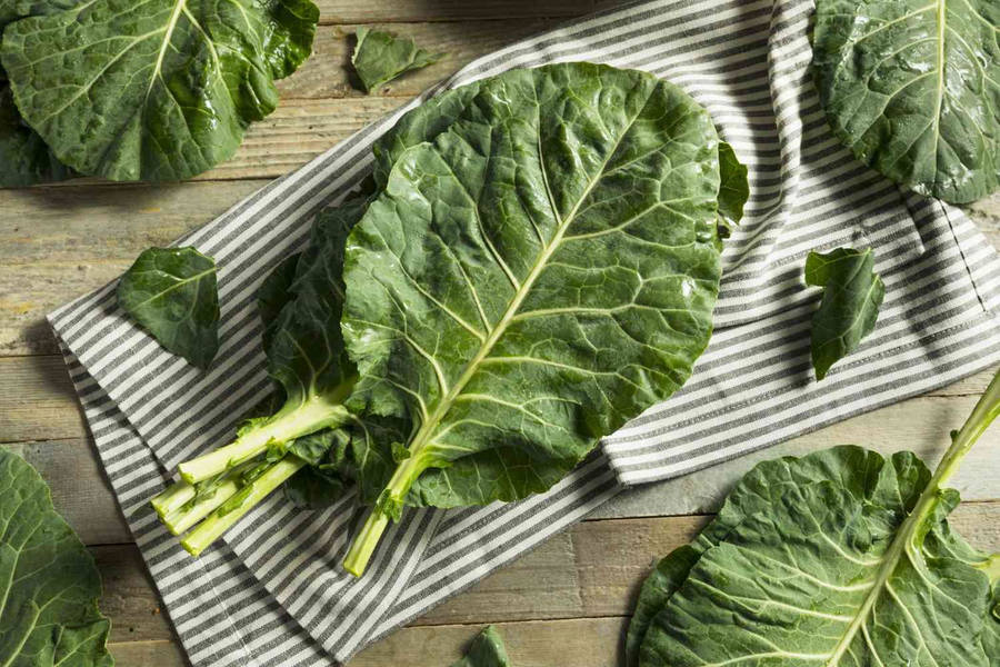 Collard Greens 桌布