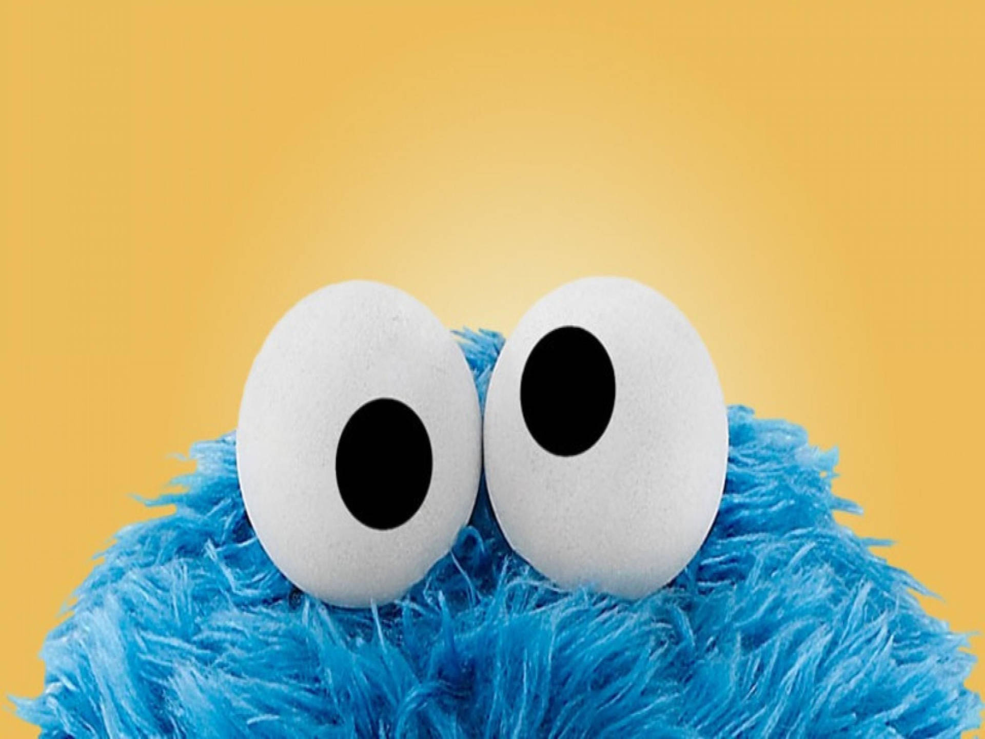 Cookie Monster 桌布
