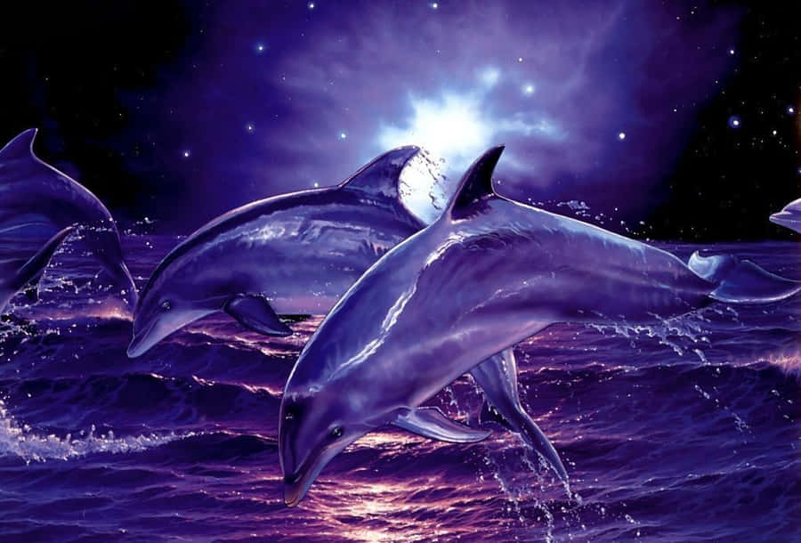 Cool Dolphin 桌布