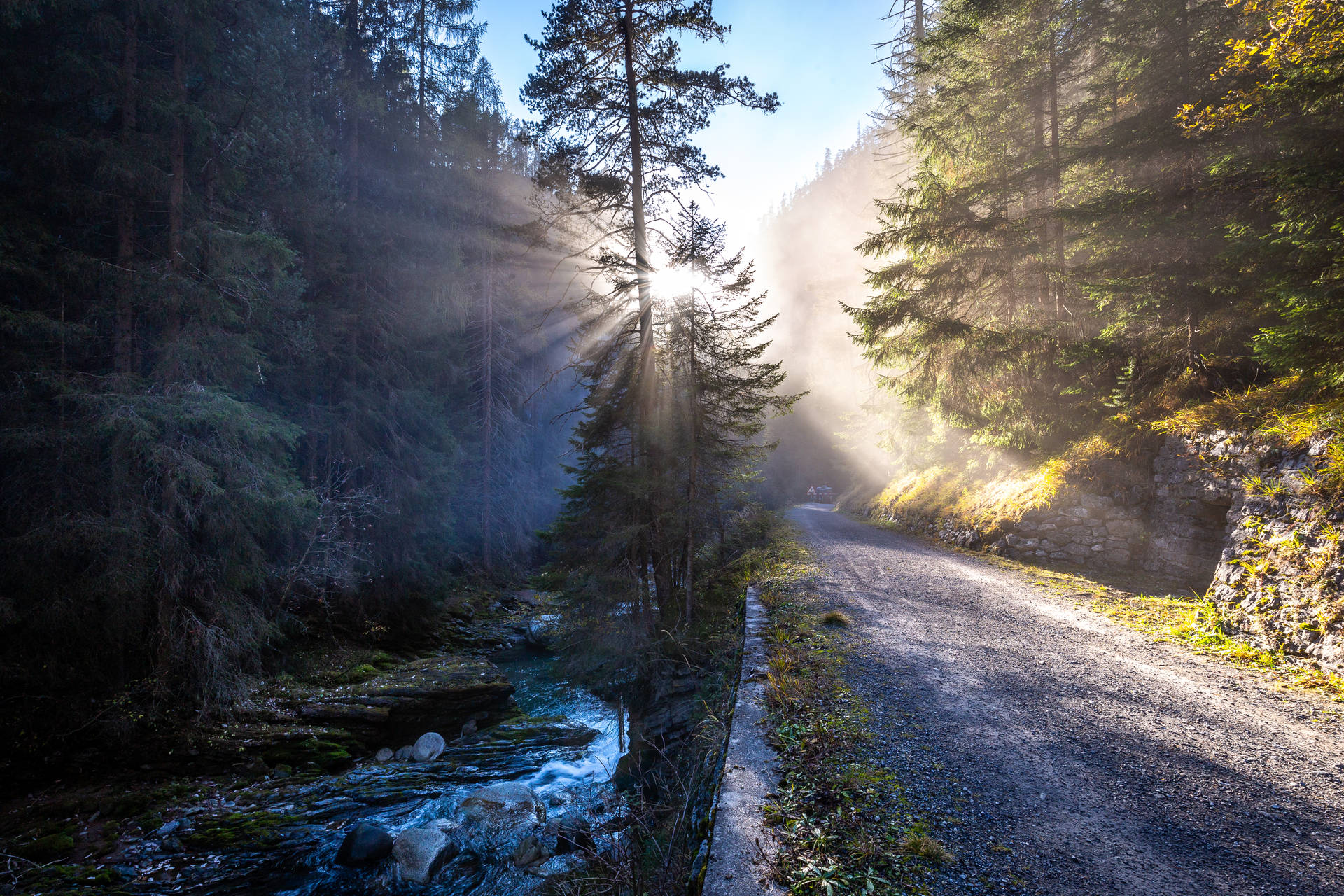 sunlight reflects on trees and river
