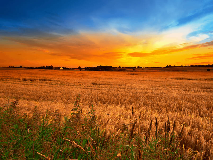 1600x1200 Country Wallpaper