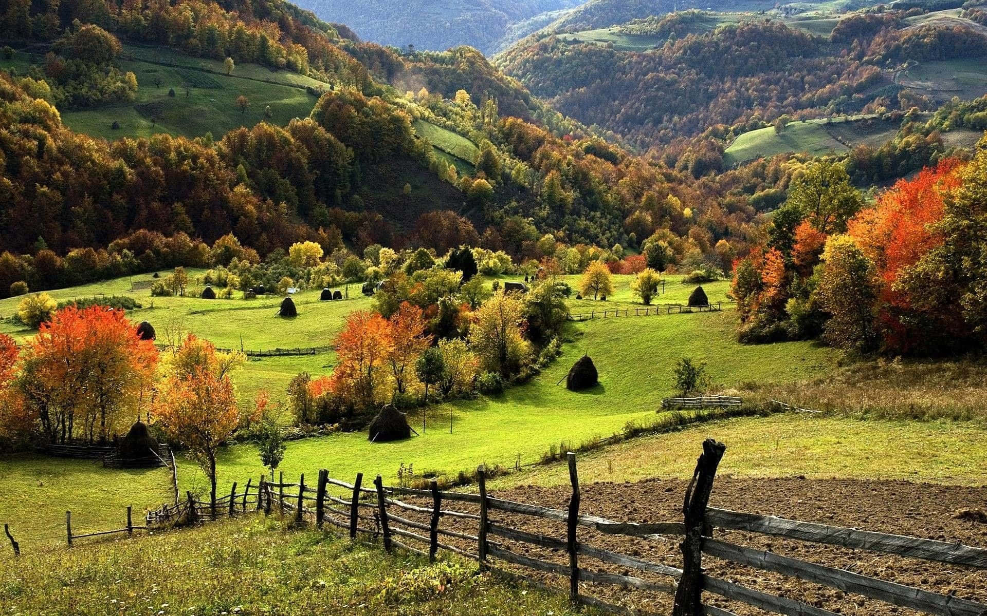 Countryside 桌布