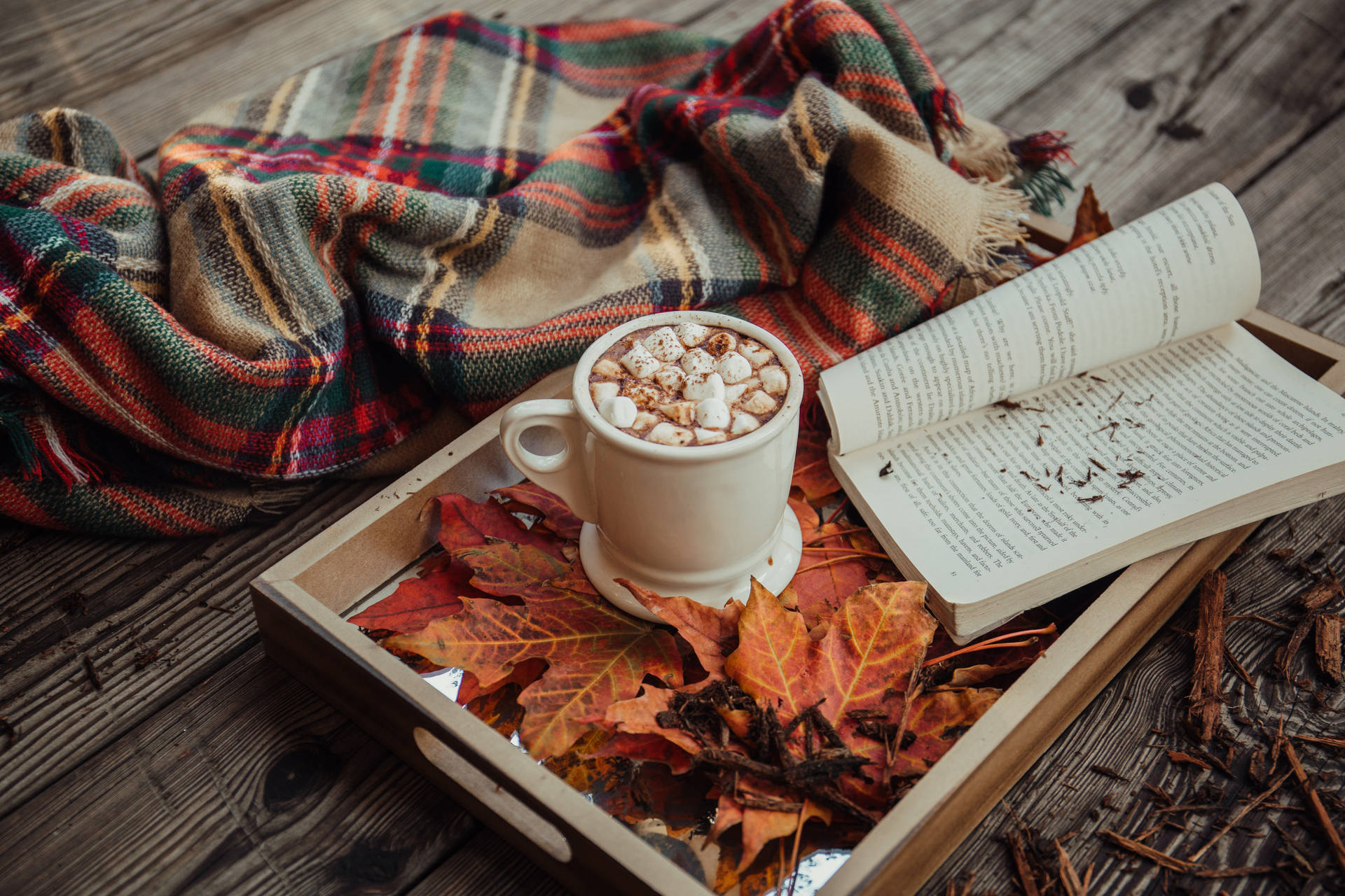 Cozy Autumn 桌布