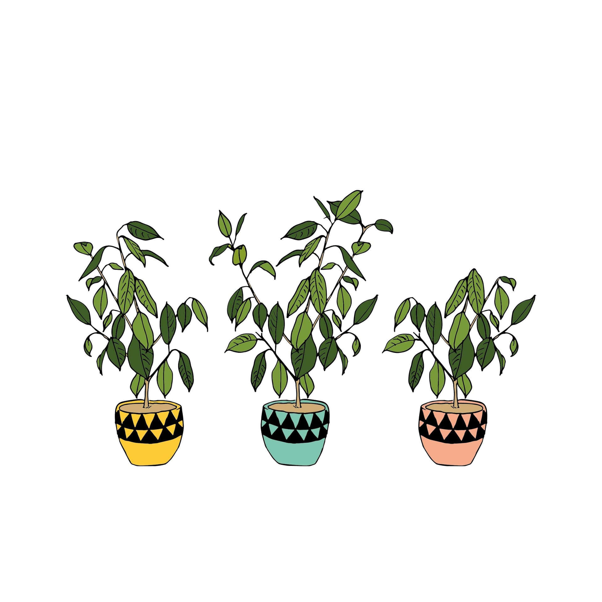 Cute Aesthetic Plant 桌布
