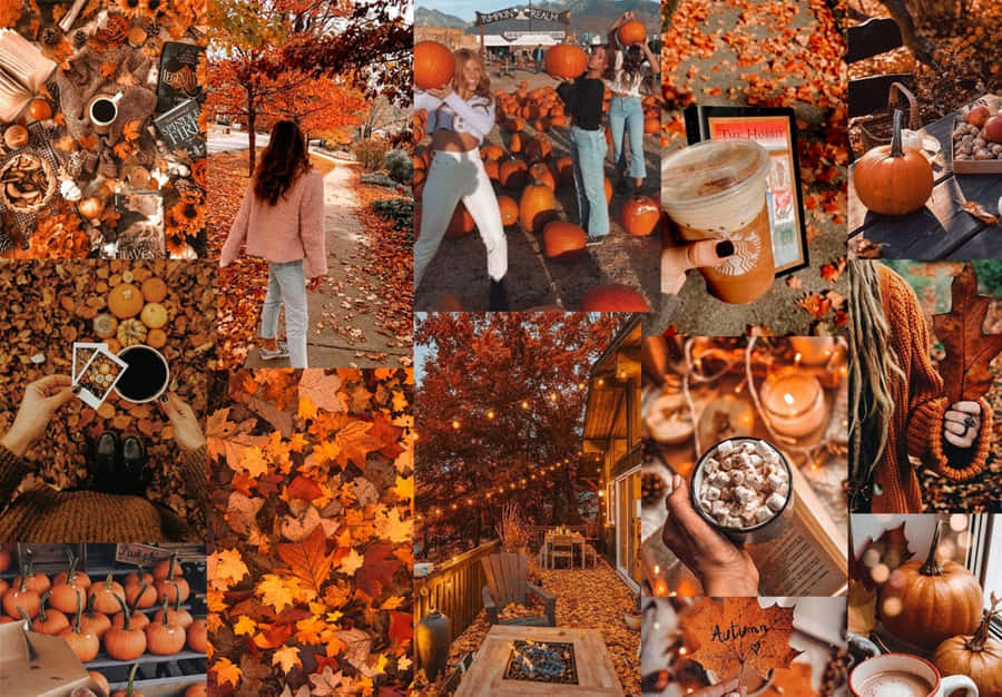 Cute Autumn 桌布