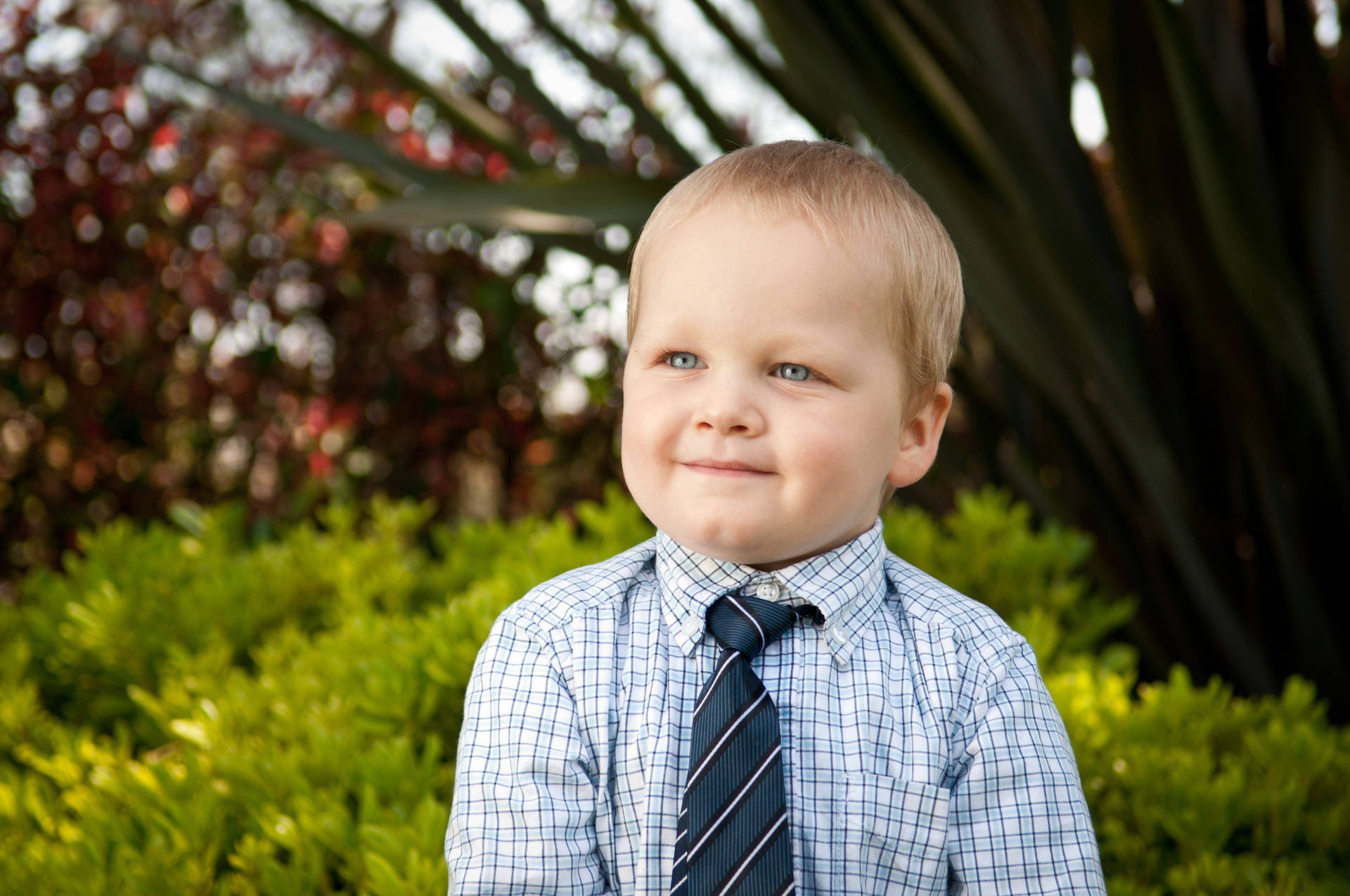 cute kids Wallpapers