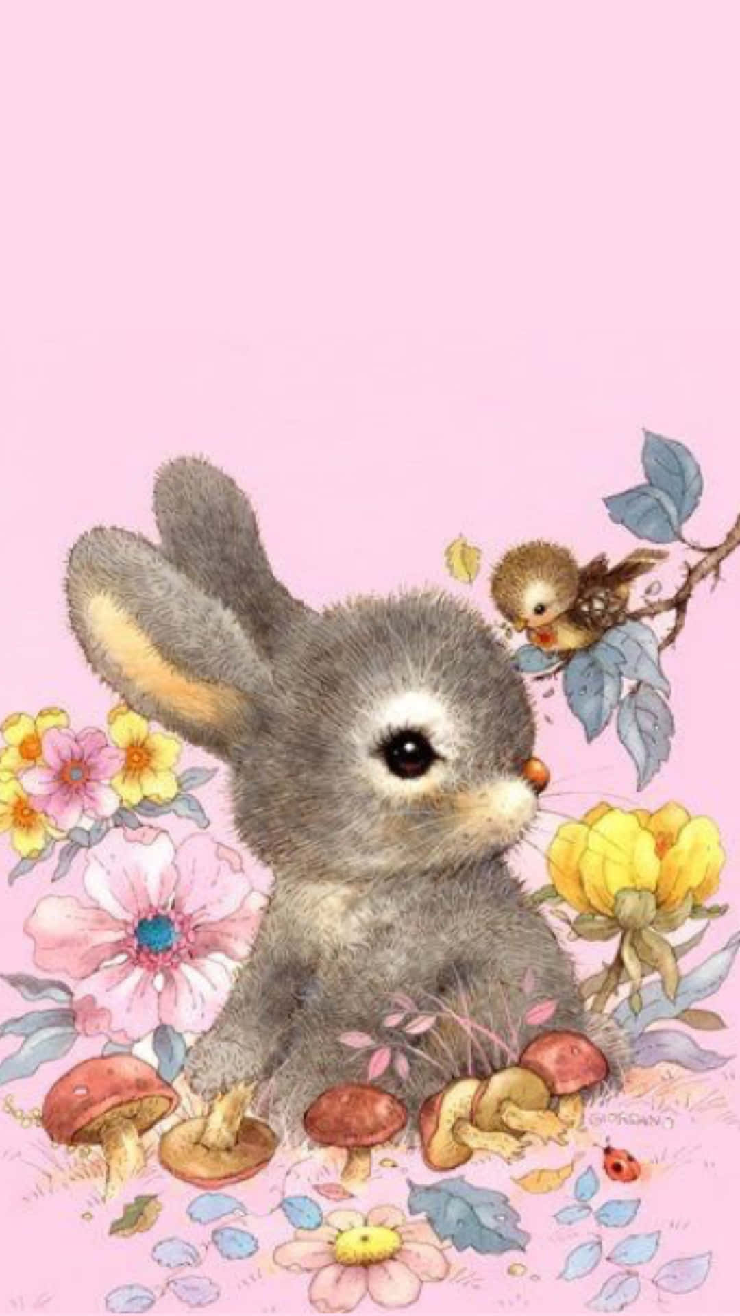 Cute Bunny iPhone 桌布
