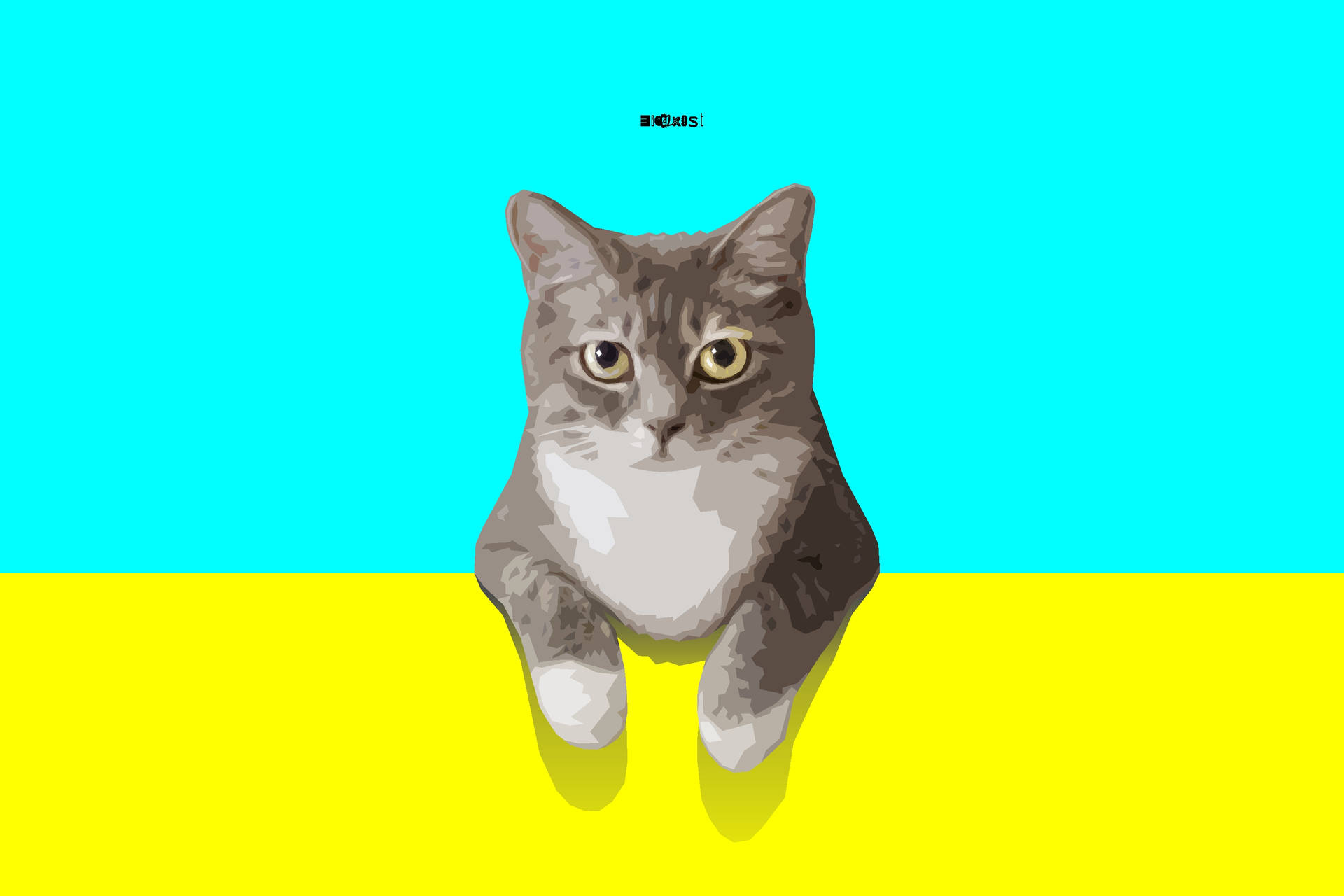 Animal Cat Cats Simple Minimalist Cyan Yellow HD Wallpaper | Background Image