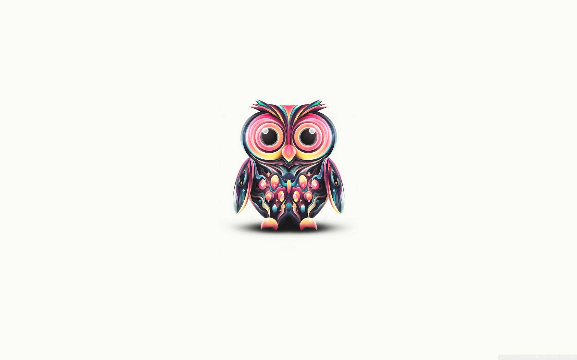 Cute Owl 桌布