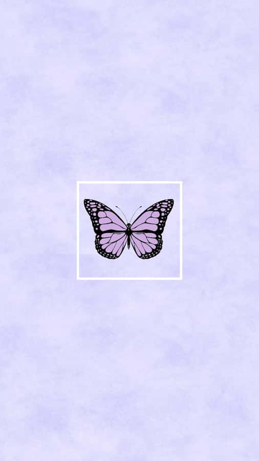 Cute Purple Butterfly 桌布