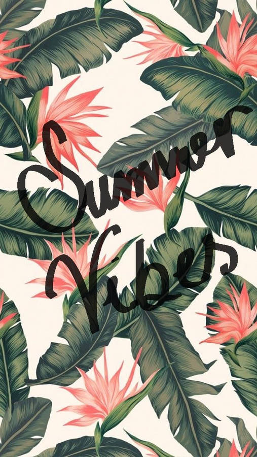Cute Summer 桌布