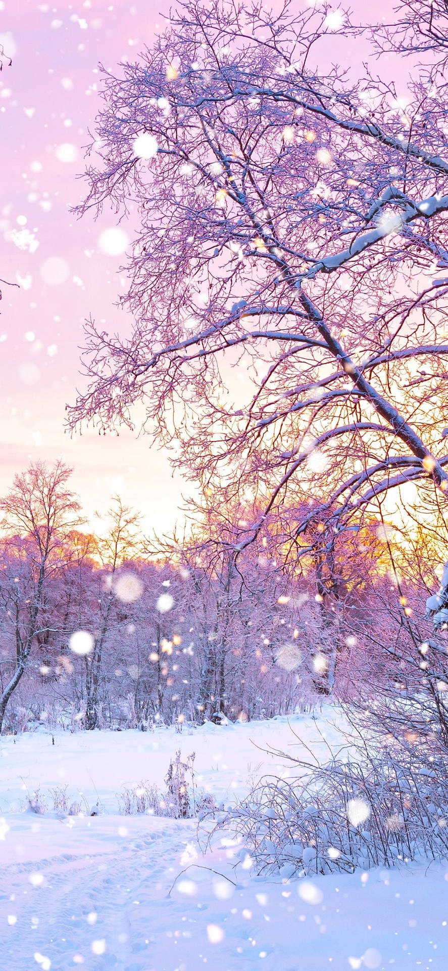 Cute Winter iPhone 桌布