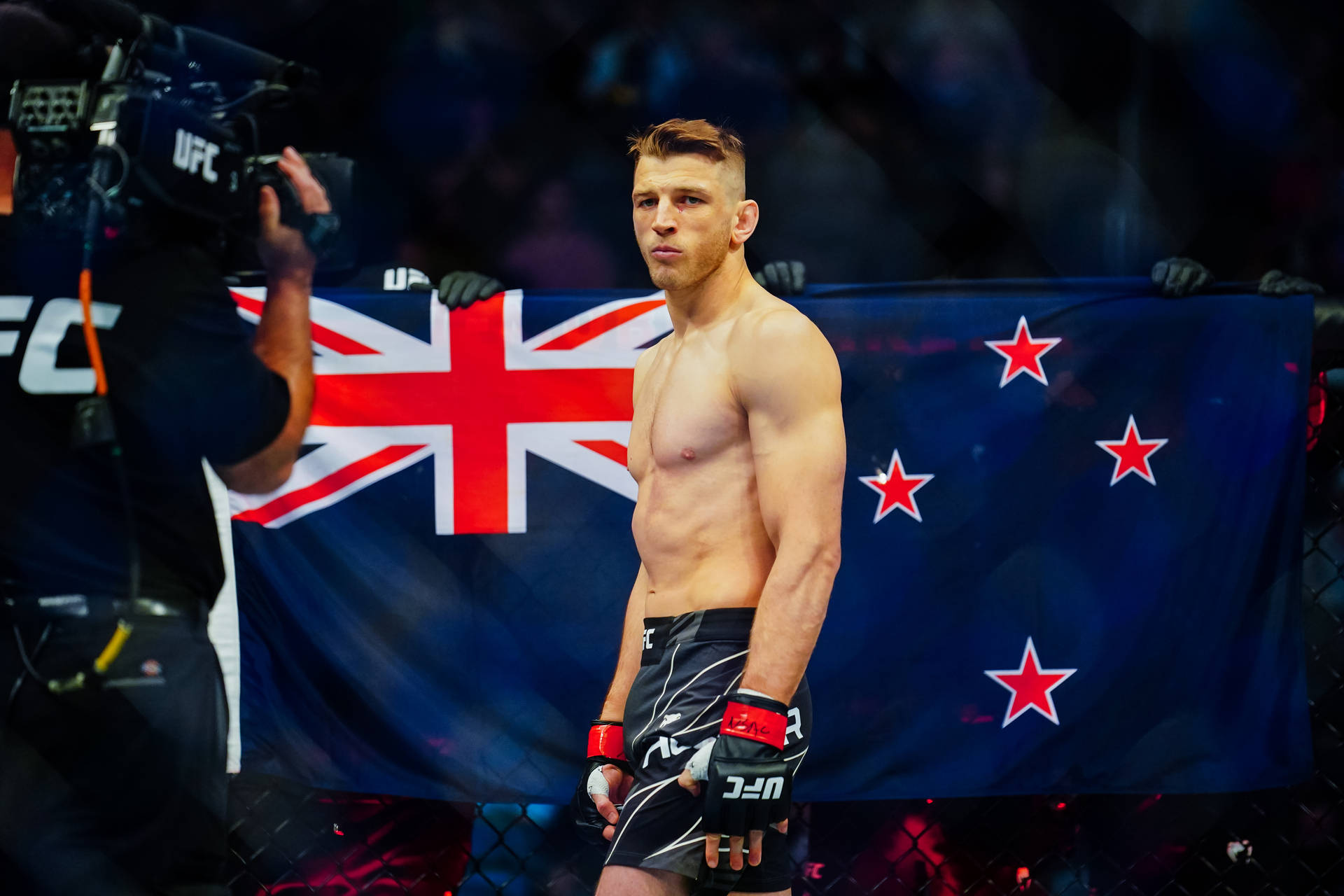 Dan Hooker 桌布