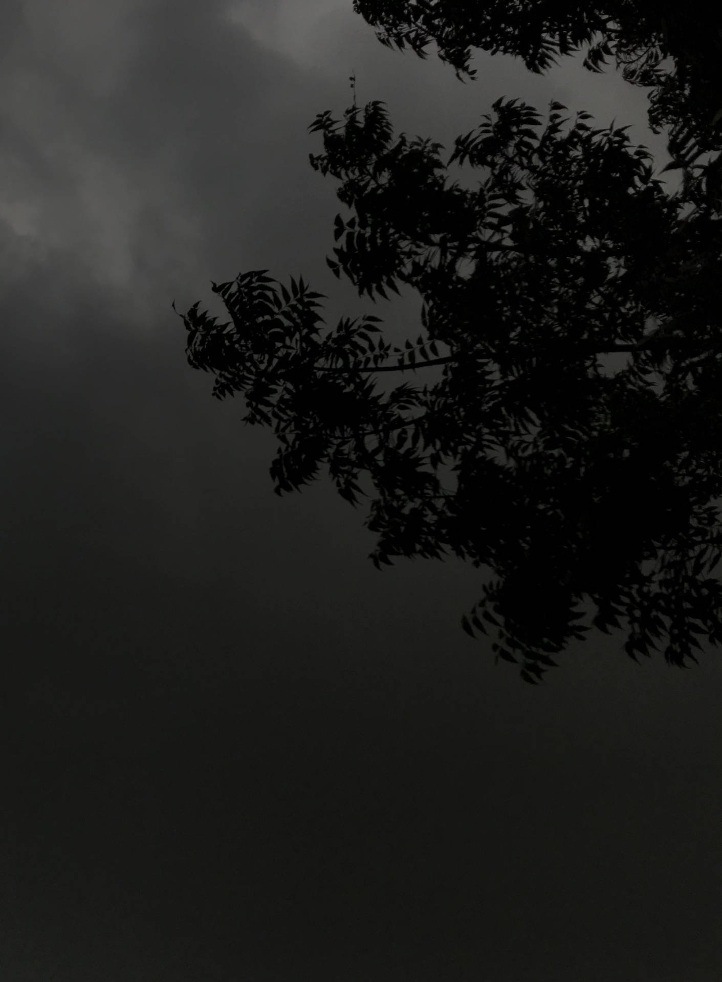 Dark Theme 桌布