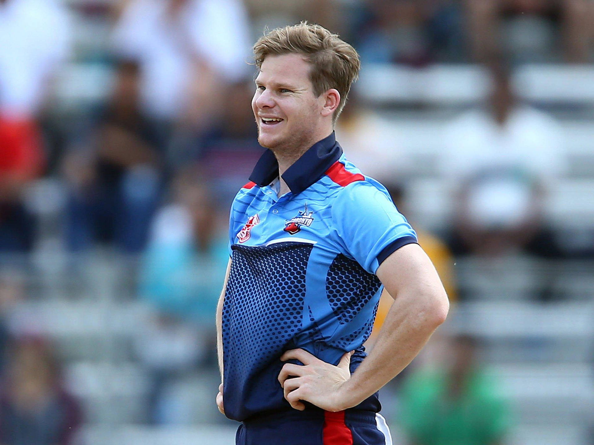 David Warner