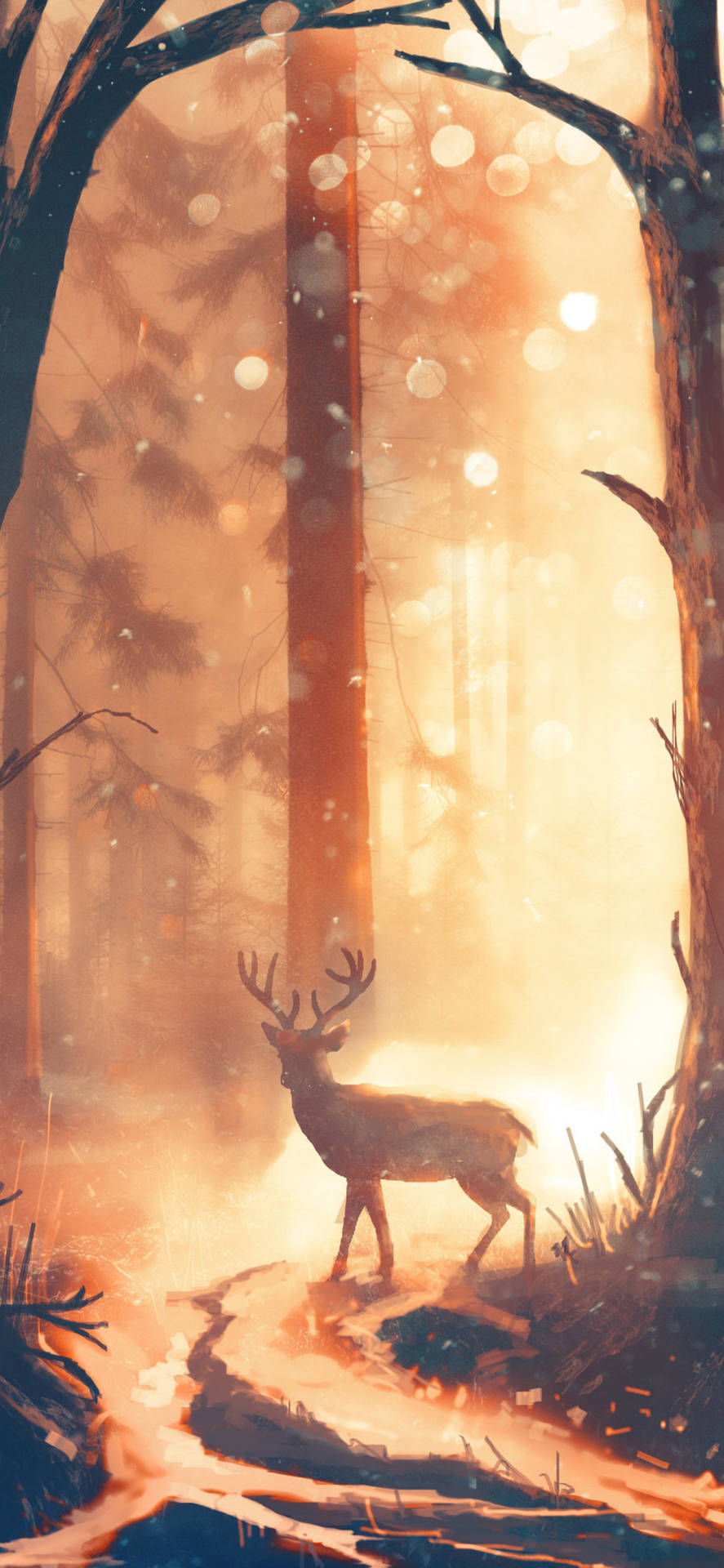 Deer iPhone 桌布