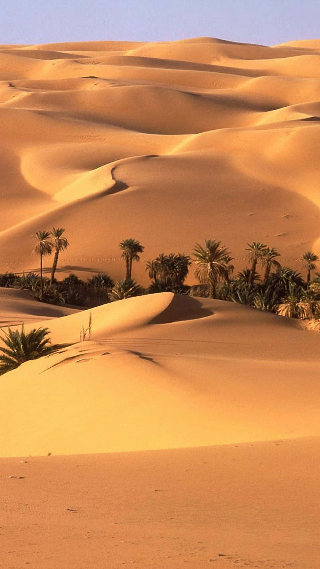 Desert iPhone 桌布