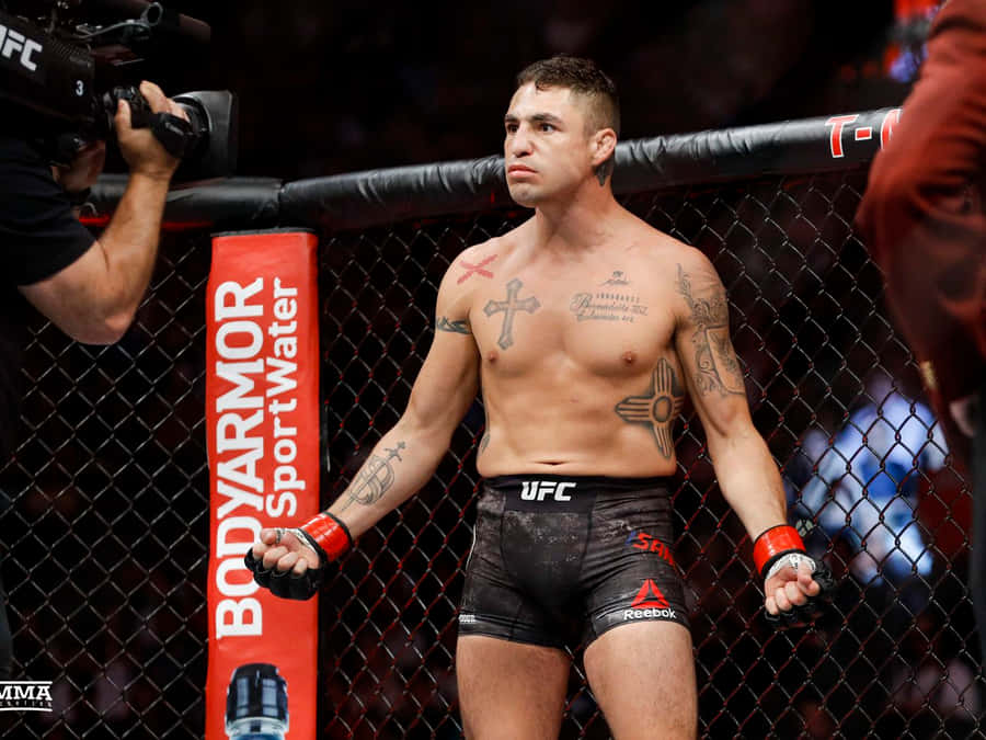 Diego Sanchez 桌布