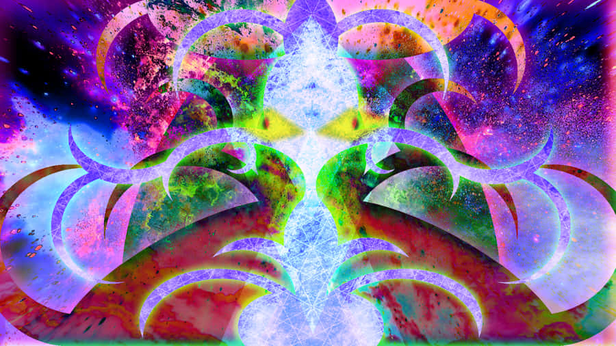 Dmt 桌布