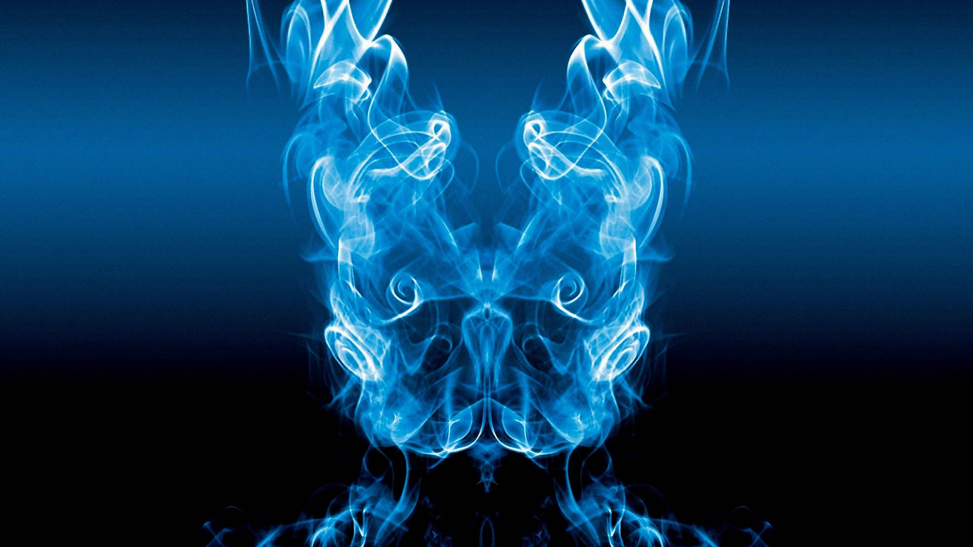 Movie Donnie Darko HD Wallpaper | Background Image