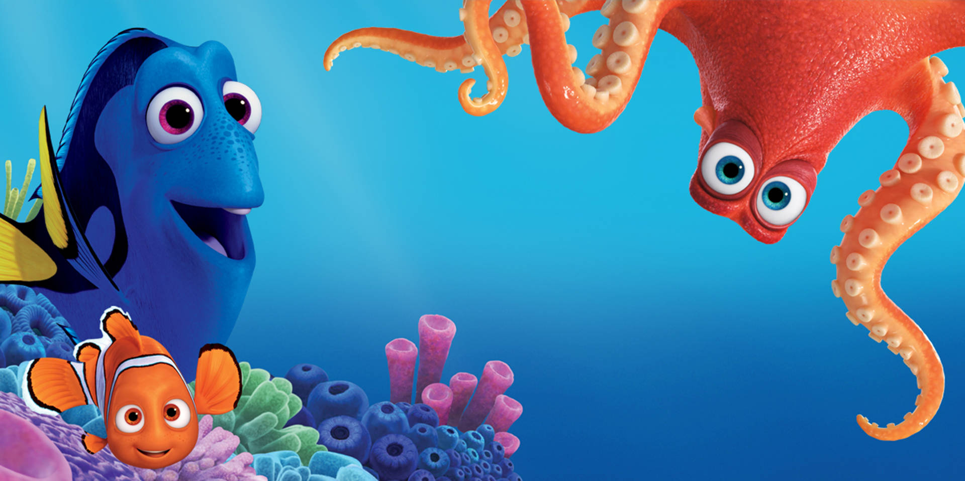 Dory 桌布