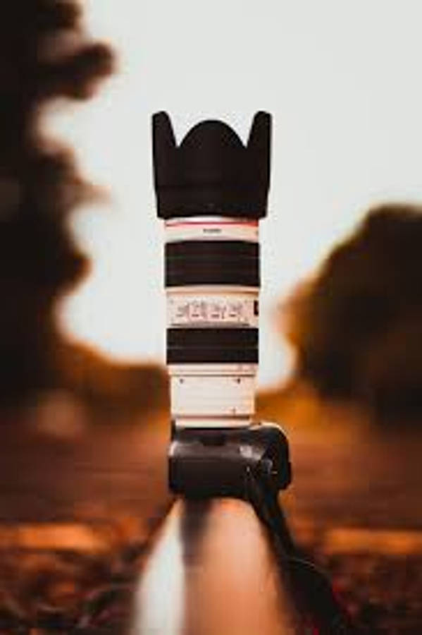 Dslr 桌布