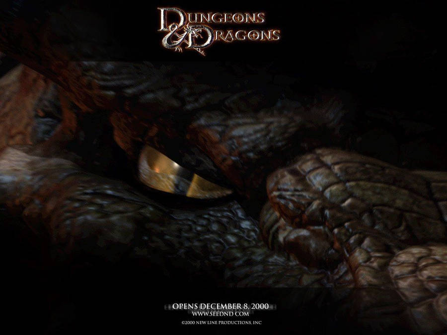 1024x768 Dungeons & Dragons image Dragon HD wallpaper and background photo