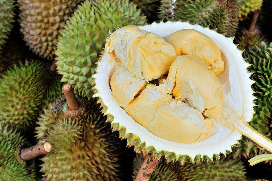 Durian 桌布