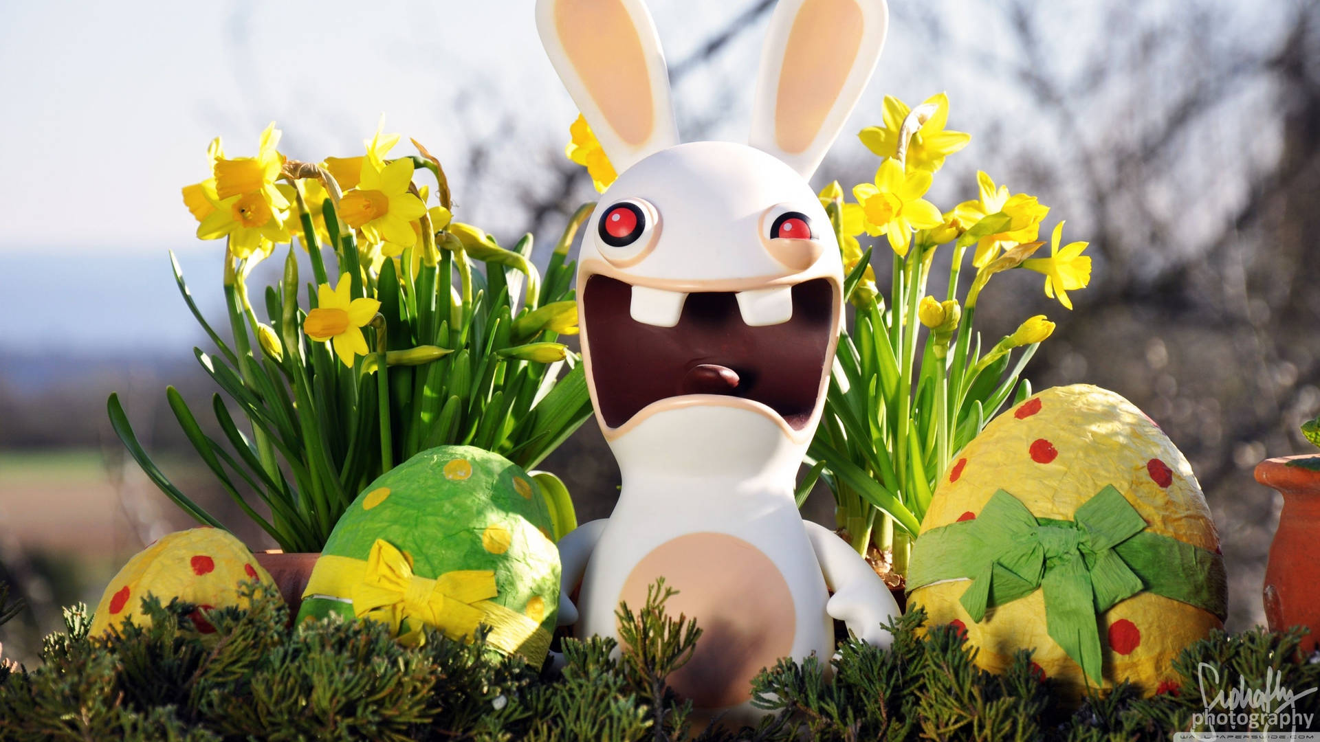 3554x1999 best ideas about Happy easter wallpaper Happy. HD