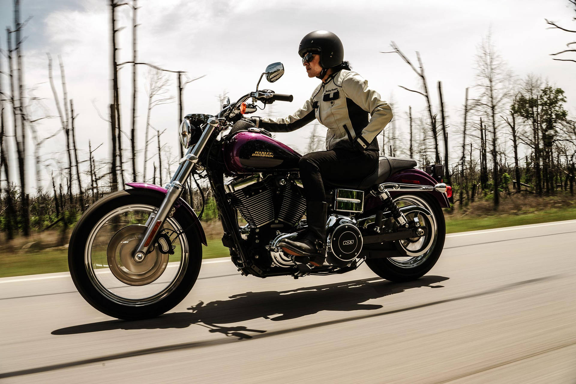 Vehicles Harley-Davidson Low Rider Harley-Davidson HD Wallpaper | Background Image