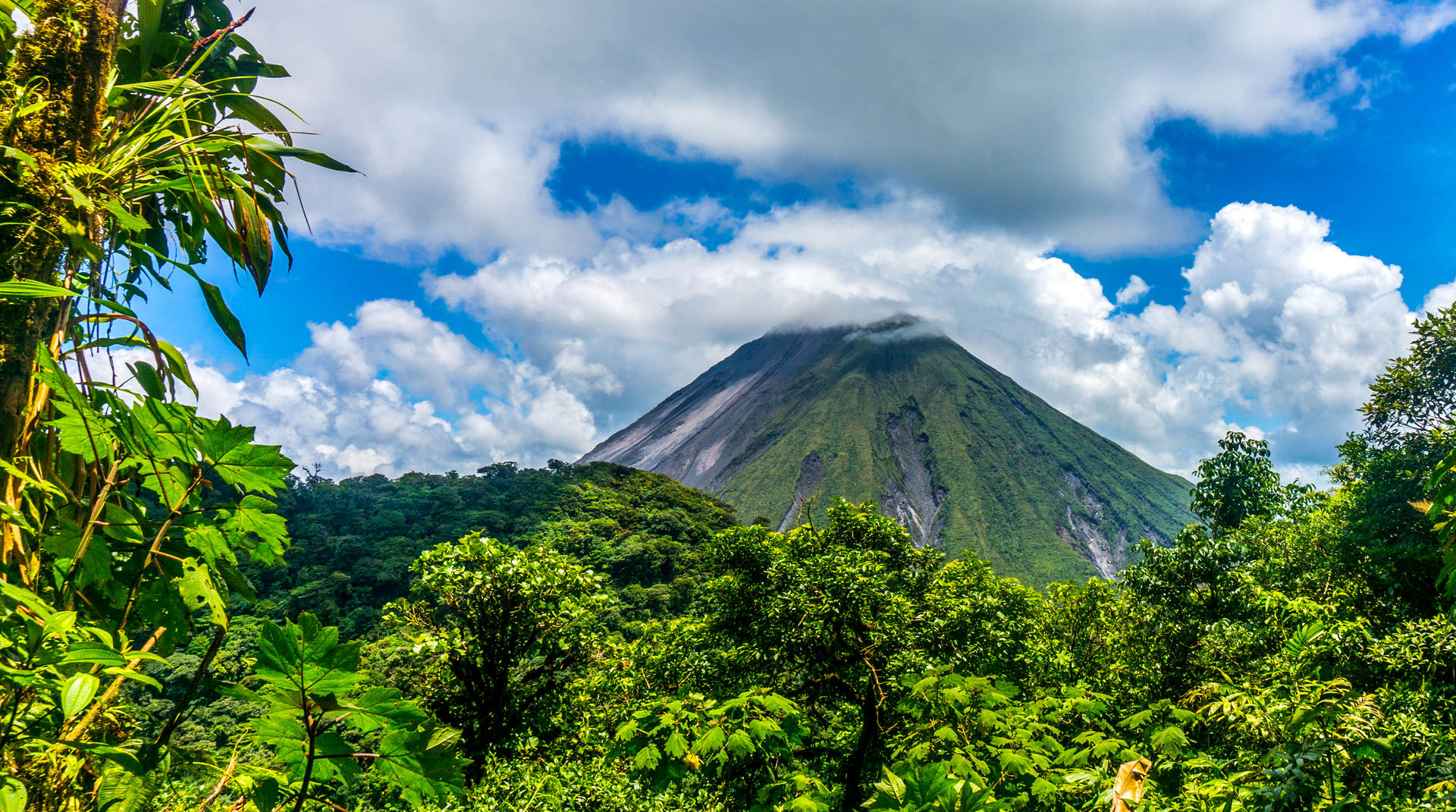 Earth Volcano Volcanoes Forest Tree Cloud El Salvador HD Wallpaper | Background Image