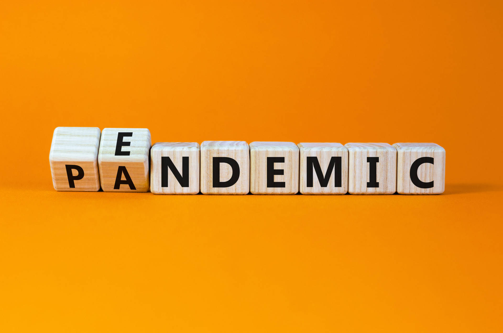 Endemic 桌布