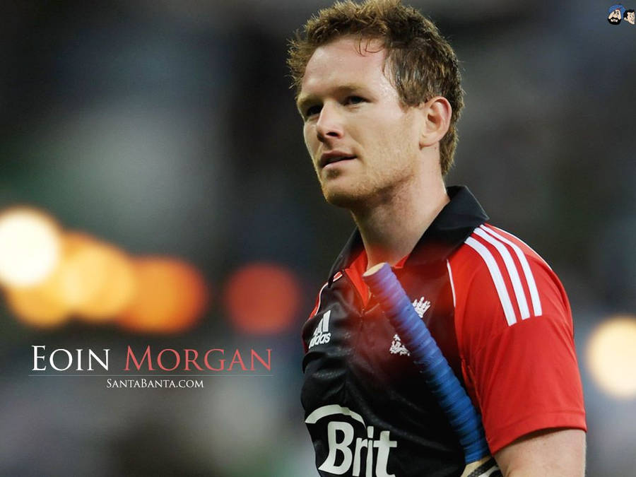 Free Download Eoin Morgan HD Wallpapers