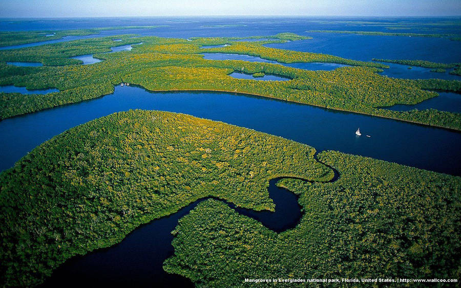 Everglades National Park 桌布