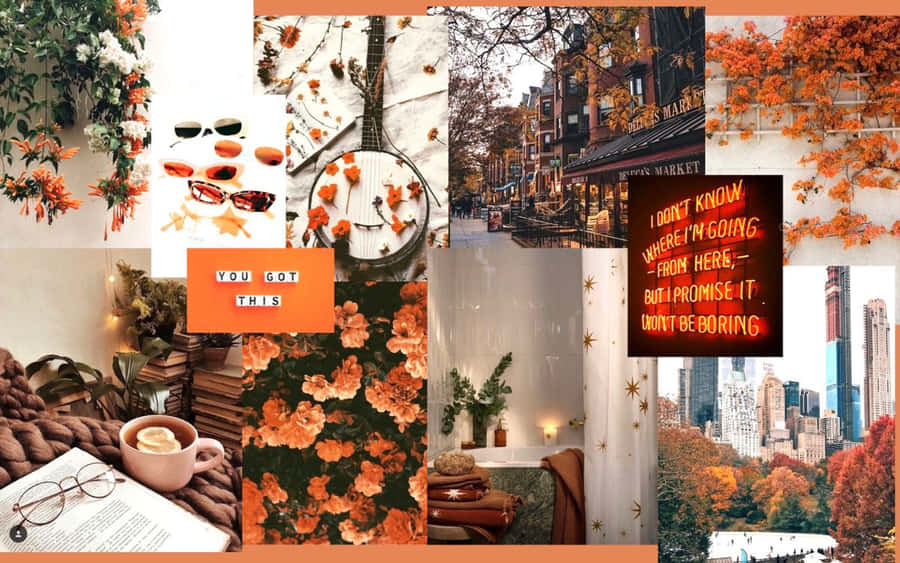 Fall Collage Desktop 桌布