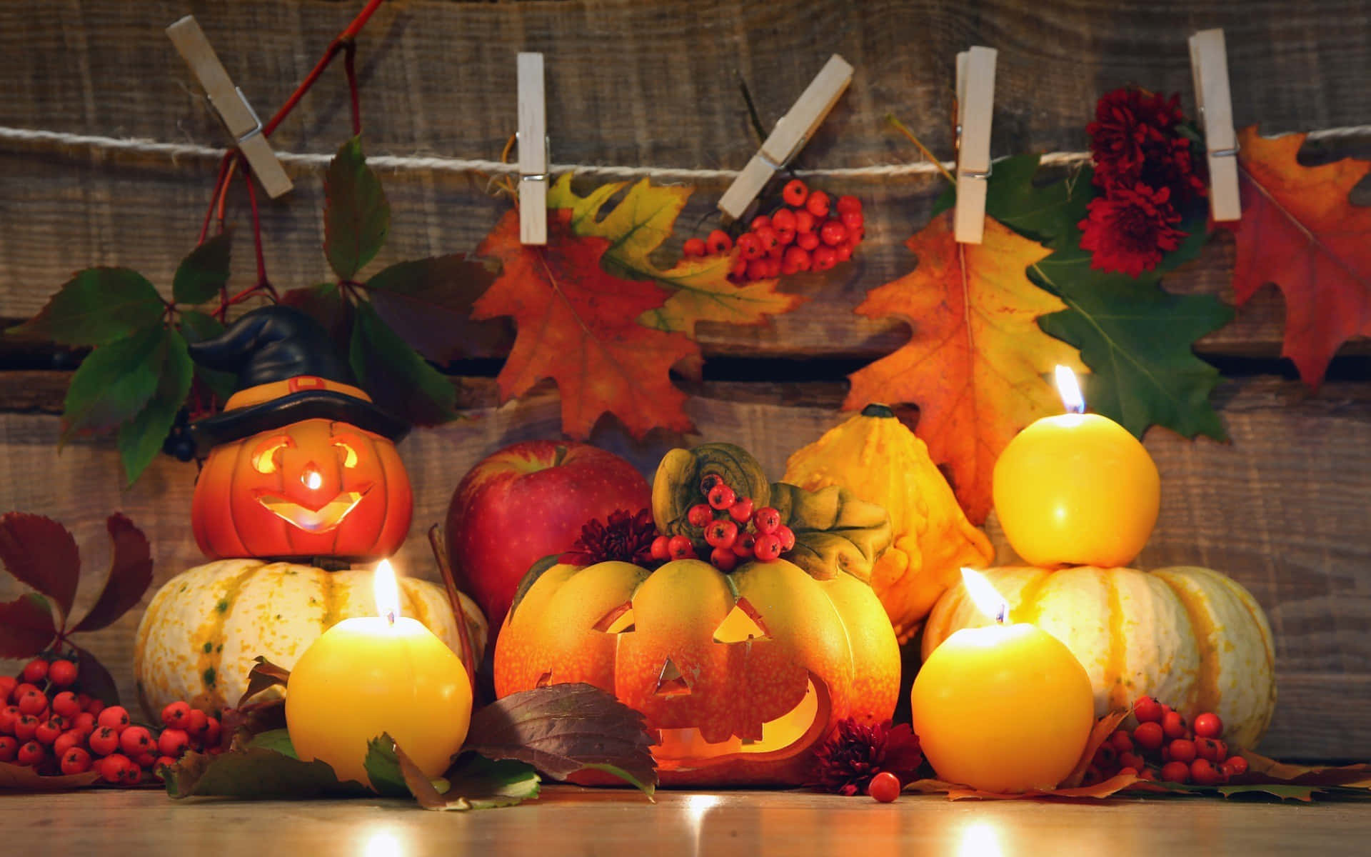 Fall Pumpkin 桌布