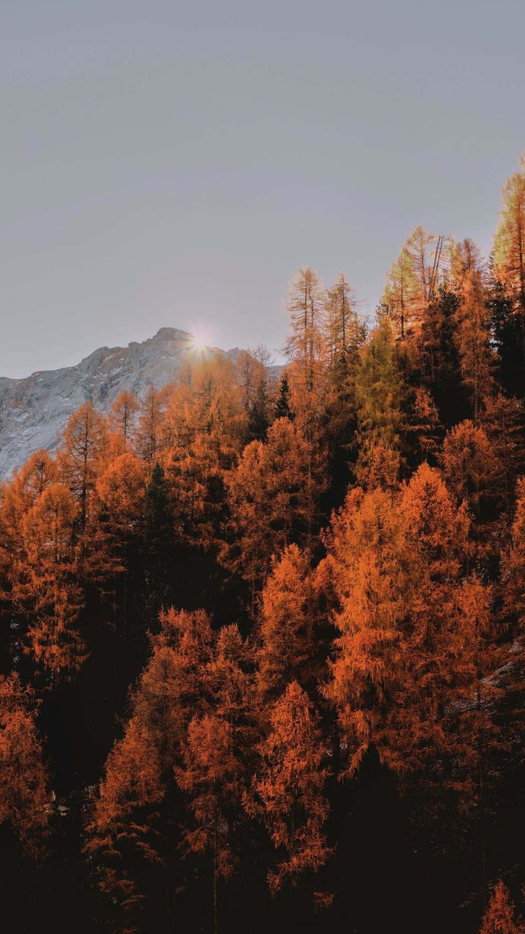 Fall Tumblr 桌布