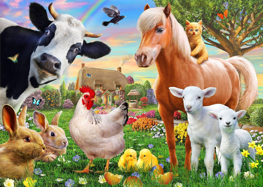 Farm animals 桌布