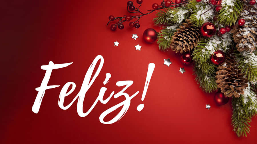Feliz 桌布