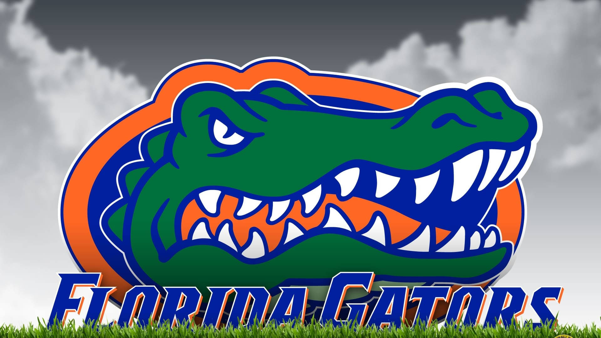 Florida gators 桌布