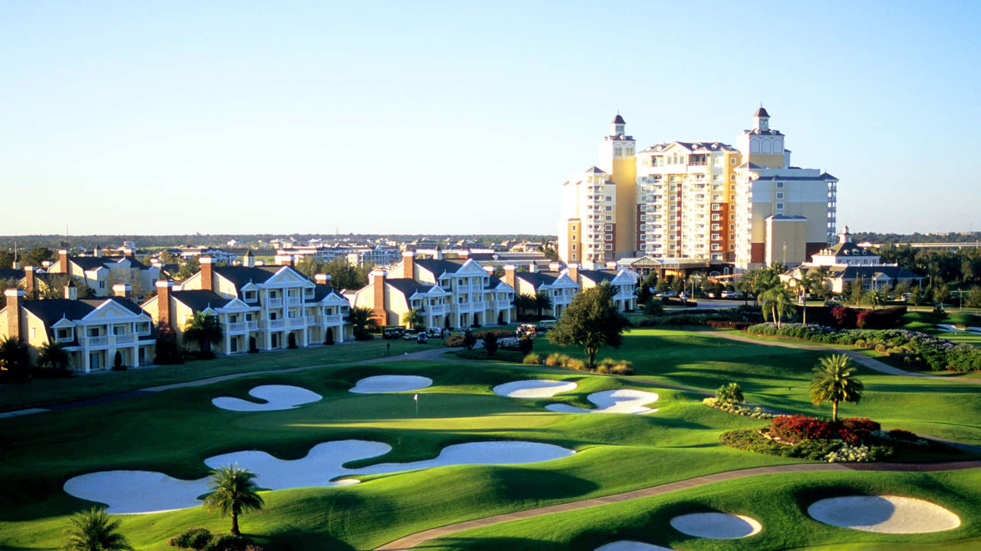 Florida Golf 桌布