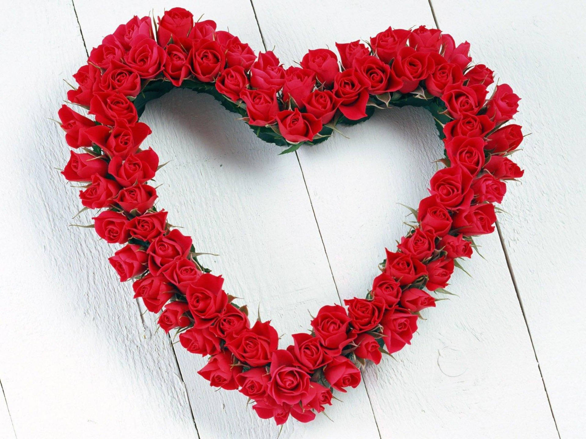 Flower Heart 桌布